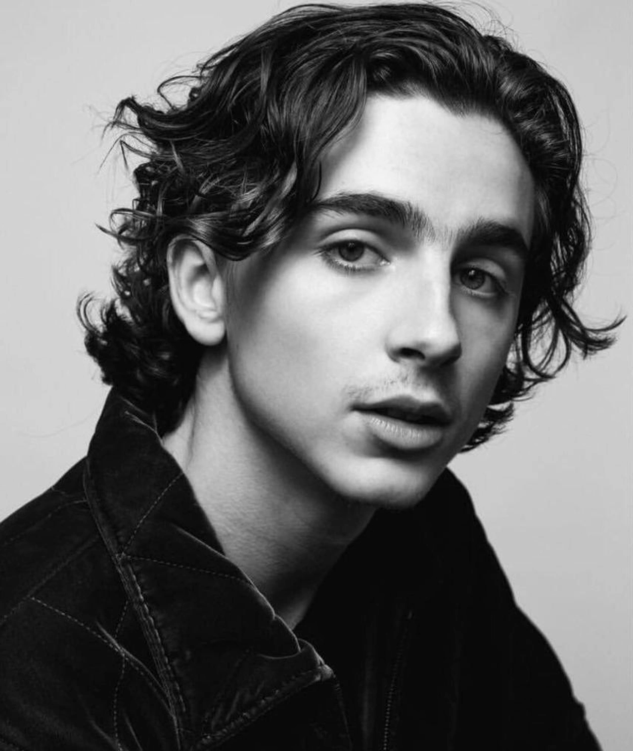 Famous Hollywood Actor -Timothee Chalamet - Jasactive.com